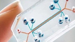 Belçika'da kanseri 15 dakikada teşhis edebilen çip geliştirildi