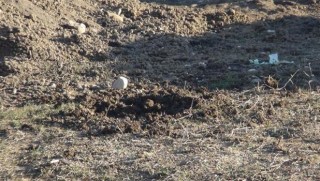 Yüksekova'dan kahreden haber.. Yerde bulduğu cisim patladı!