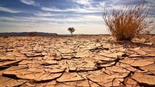 Dünya Bankası: İklim değişikliği insanları göçe zorlayacak