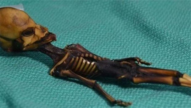 'Uzaylı' sanılan 15 cm'lik mumyanın trajik hikâyesi...
