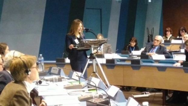 Avrupa ile Türkiye arasında Leyla İmret krizi