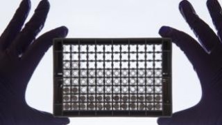 Kanser hastalığında çığır açacak gelişme