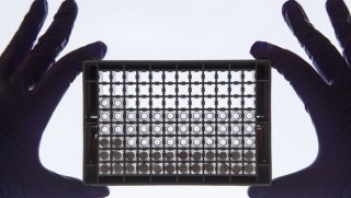 Kanserde hayat kurtaracak yöntem