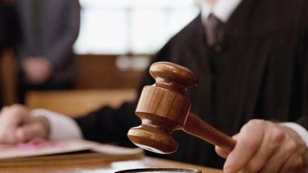 Hindistan'da mahkeme, insanlarla hayvanların eşit hakları olduğuna hükmetti