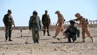 20 can alan Şengal'deki mayınlar temizleniyıor