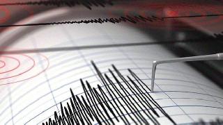 Van'da korkutan deprem!