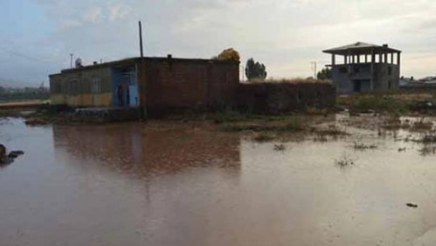 Ahmedê Xanî Türbesi'ni su bastı