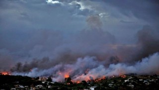 Yunanistan'daki orman yangınında ölü sayısı 80'e yükseldi