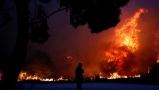 Yunanistan'daki yangının çıkış nedeni belli oldu!