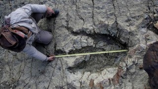 140 milyon yıllık dinozor ayak izi bulundu