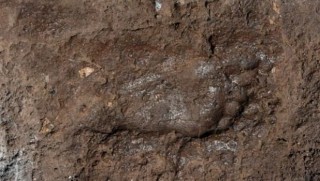 Van'da bulundu! Urartulara ait ilk iz