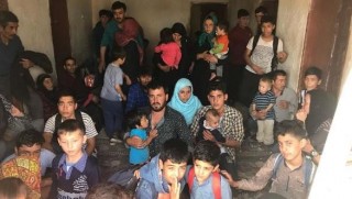 Van'da 299 göçmen yakalandı