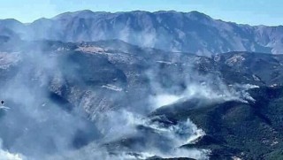 Dersim Valiliği'nden 'orman yangını' açıklaması