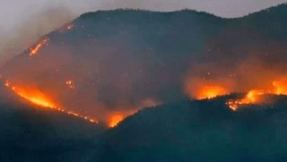 Dersim’de yangın görmezden geliniyor