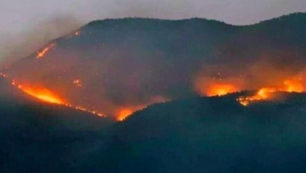 Dersim’deki orman yangını sürüyor