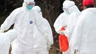 İstanbul'da iki mahalle şarbon karantinasına alındı!