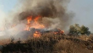 Efrin'de bir orman yangını daha