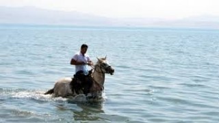 Van Gölü'ne atıyla girip çöp topladı