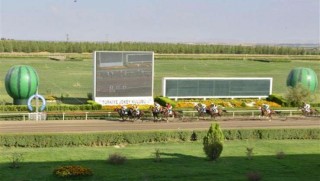 Karpuz festivaline 'tasarruf' iptali 