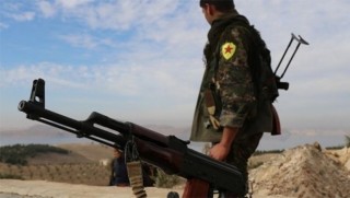 YPG Efrin'de zeytin hırsızlarını hedef aldı!