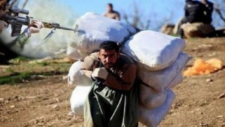 İran rejimi bir Kürt kolberi daha katletti 