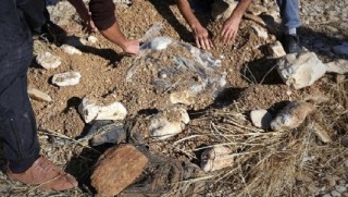 Şengal’de bir toplu mezar daha bulundu