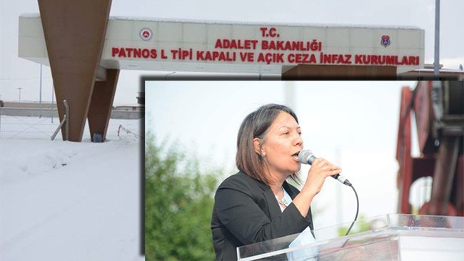 HDP'li Kaya, Patnos Cezaevi'ndeki hak ihlallerini Meclis gündemine taşıdı