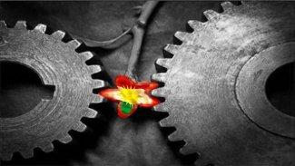 Bütünü Parçaya Feda Etmek Büyük Bir Gaflettir