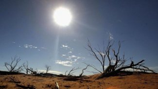 Servetiyle dünyayı koruyacak!
