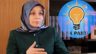 Ak Parti Genel Başkan Yardımcısı: Türkiye'de insan hakları ihlalleri olduğunu söylemek abesle iştigal