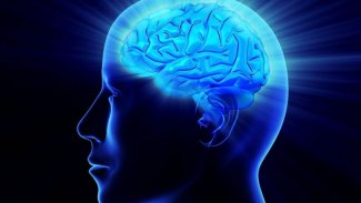 Dünyanın en zeki 10 ülkesi 