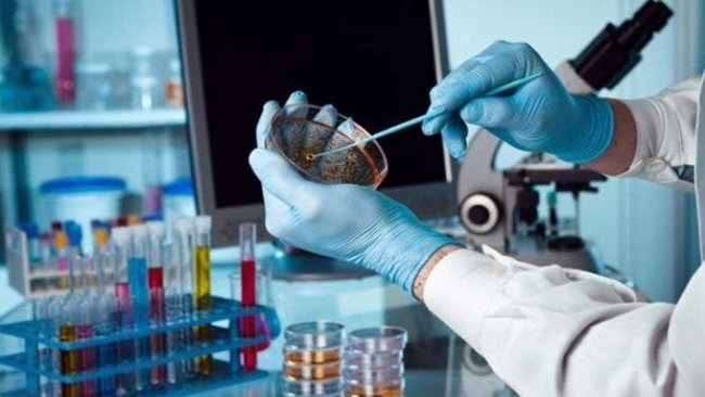 İsrailli bilim insanlarından tüm kanser türlerine etki edecek tedavi