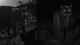 Efsanelere konu olmuştu... 110 yıl sonra ilk kez görüntülendi!