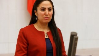 HDP Urfa Milletvekili'ne hapis cezası