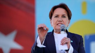 Akşener'den tepki: Ortak noktaları hepsinin Kürt olması