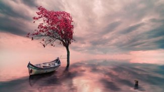 Gidenlerin Ardından