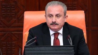 TBMM Başkanı 'Leyla Güven’i ziyaret etmeli' çağrısına yanıt