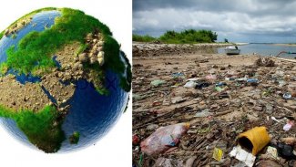 BM: 1 milyon hayvan ve bitki türü yok olma tehlikesi altında