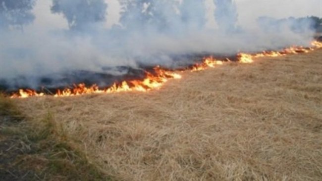 Kerkük'ten Kürdistan Hükümeti’ne: Arap işgaline dur deyin!