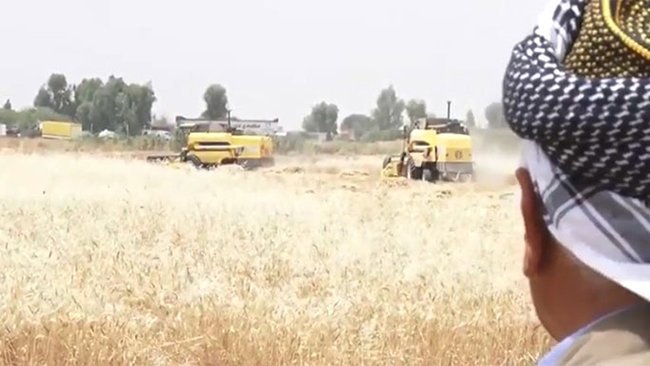 Kerküklü çiftçiler endişe içerisinde