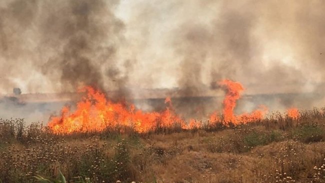 Kürdistani bölgelerde güvenlik açığı.. IŞİD tarım arazilerini yakıyor
