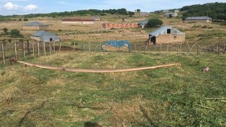 Bingöl’de öldürülen dev yılan görenleri şaşırttı