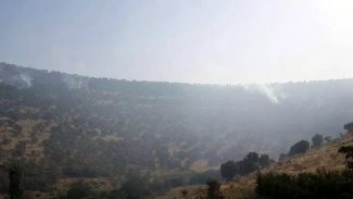 Nusaybin kırsalındaki orman yangını büyüyor