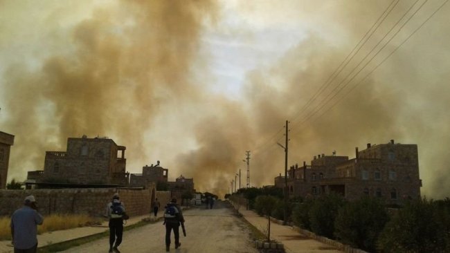 Hızla yayılıyor...Mardin'in Bagok Dağı’nda korkutan yangın!