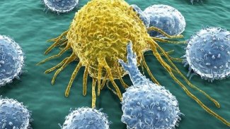 Kansere karşı en dirençli kan grubu belli oldu