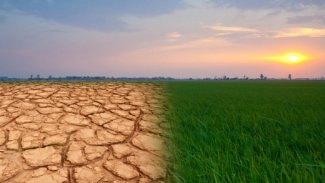 ‘İklim değişikliği dünyayı midesinden vurmak üzere’