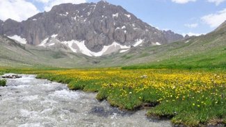 Munzur Dağları için imza kampanyası