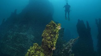 Dünyanın en büyük mikrobiyalitleri Van Gölü'nde görüntülendi