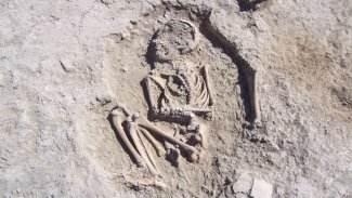 Kürt ilinde 5 bin 700 yıllık iskelet bulundu