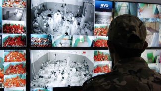 Hangi ülkenin ne kadar IŞİD üyesi vatandaşı var?